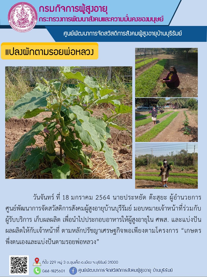 แปลงผักตามรอยพ่อหลวง