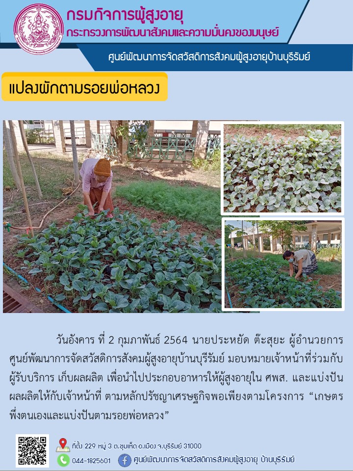 แปลงผักตามรอยพ่อหลวง