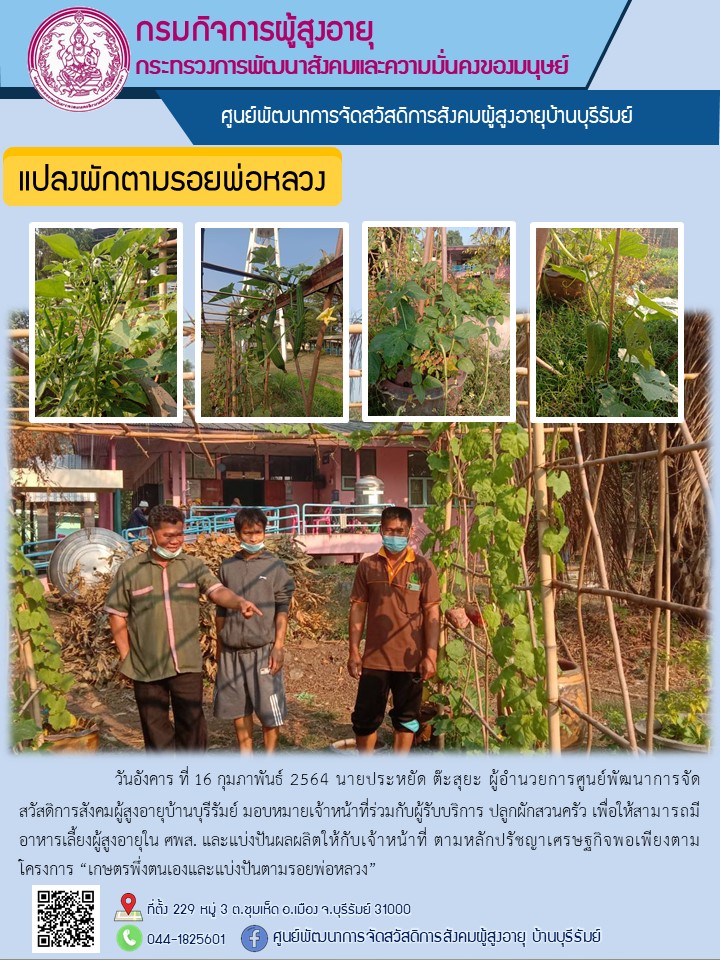 แปลงผักตามรอยพ่อหลวง