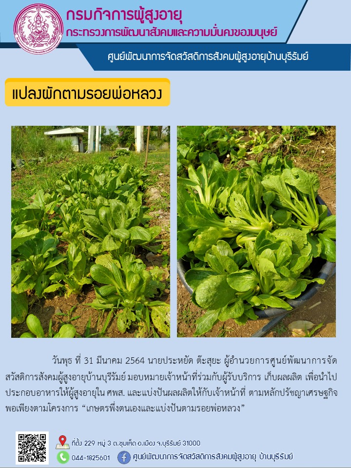 แปลงผักตามรอยพ่อหลวง