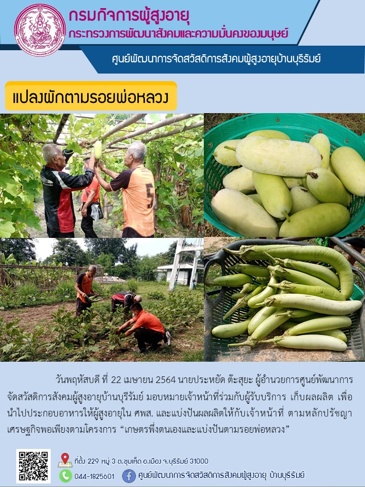 แปลงผักตามรอยพ่อหลวง