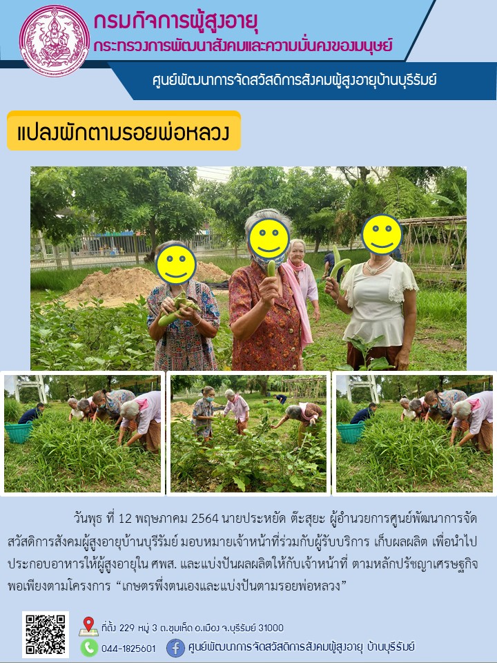 แปลงผักตามรอยพ่อหลวง