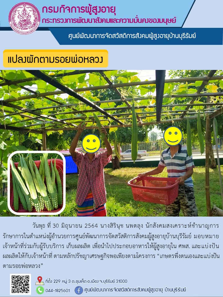 แปลงผักตามรอยพ่อหลวง