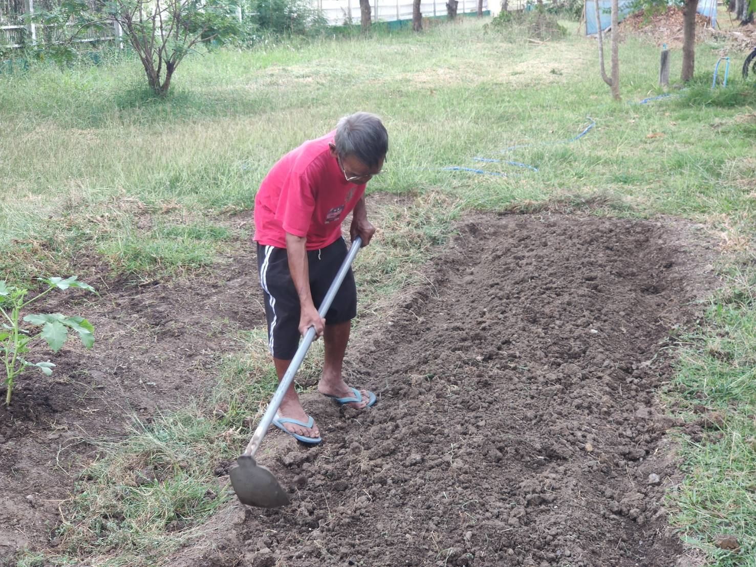“เกษตรพอดี วิถีพอเพียง” 
