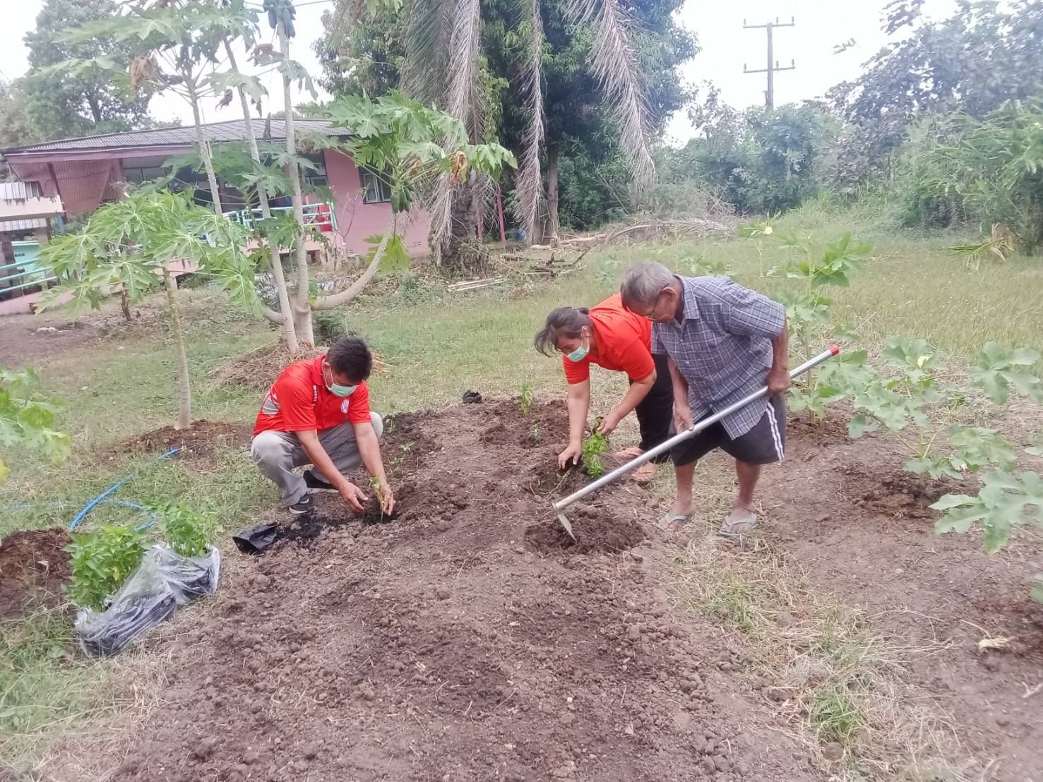 “เกษตรพอดี วิถีพอเพียง” 