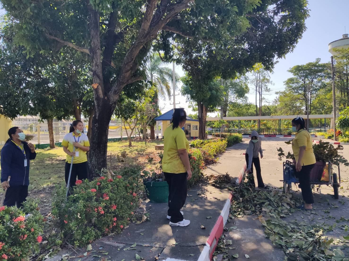 ศพส.บ้านบุรีรัมย์ ร่วมกันทำกิจกรรมจิตอาสา เก็บกวาดใบไม้บริเวณโดยรอบศูนย์ฯ เนื่องในวันคล้ายวันพระบรมราชสมภพพระบาทสมเด็จพระบรมชนกาธิเบศร มหาภูมิพลอดุลยเดชมหาราช บรมนาถบพิตร และวันพ่อแห่งชาติ 5 ธันวาคม 2