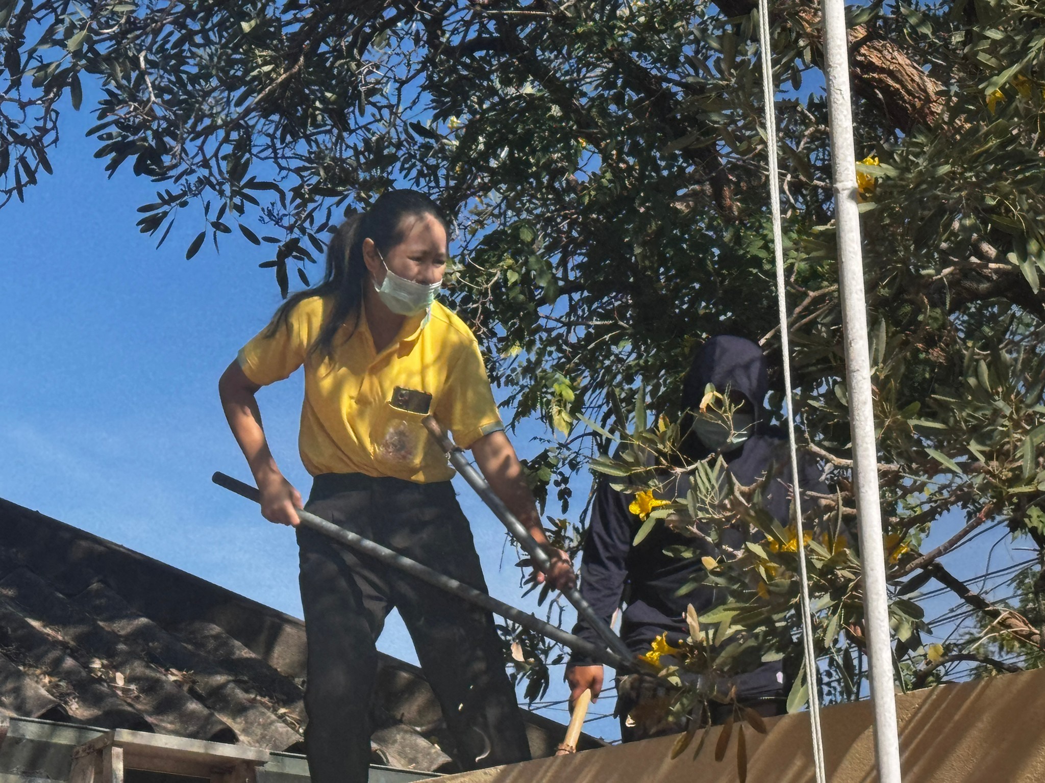 จัดกิจกรรม 5 ส. ร่วมใจ พัฒนาสภาพแวดล้อม ทำความสะอาด กวาดใบไม้บนทางเชื่อมอาคาร เพื่อส่งเสริมคุณค่าของเจ้าหน้าที่ในการมีจิตอาสา และเพื่อความสะอาด เป็นระเบียบ