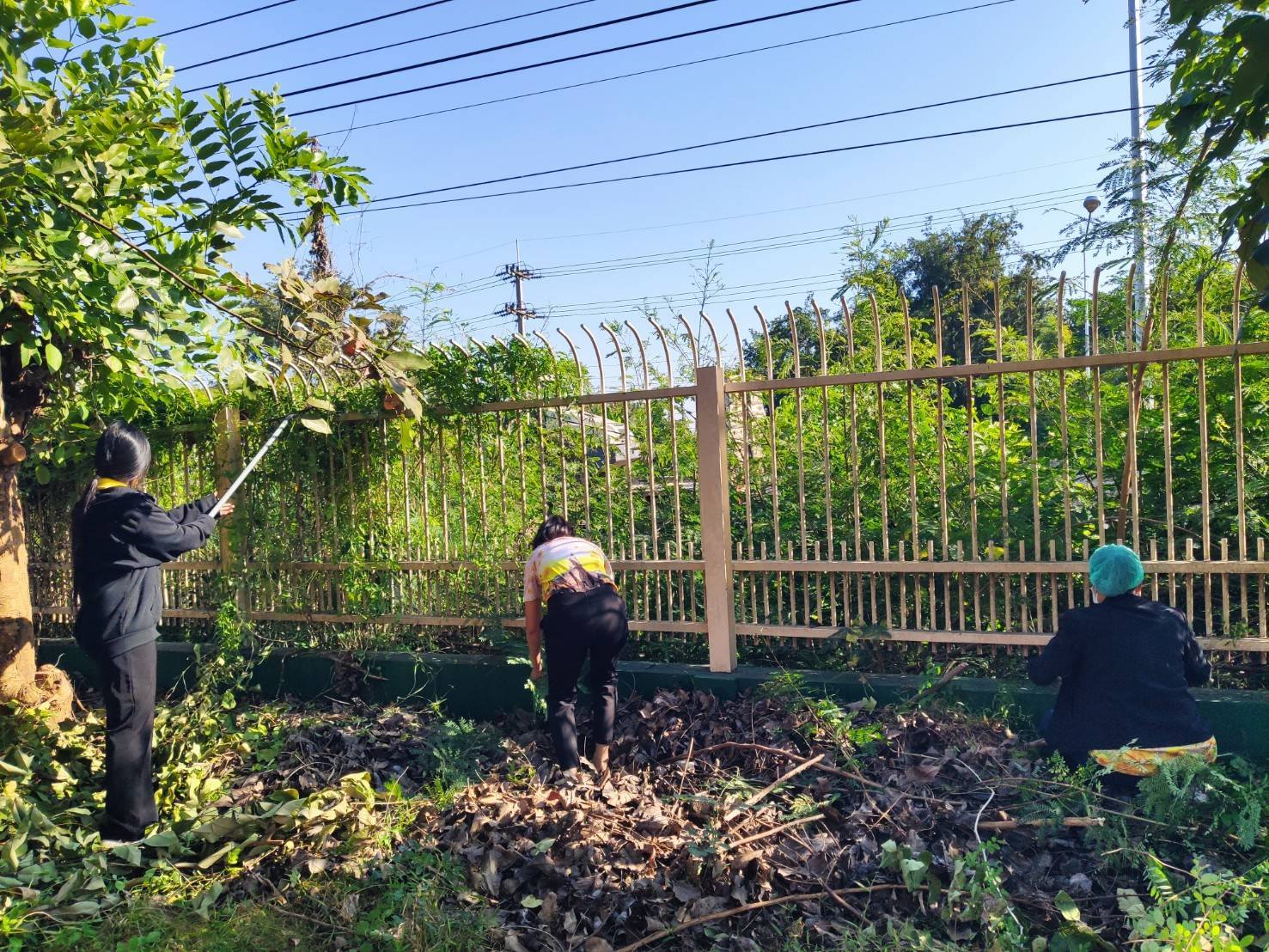 5 ส. ร่วมใจ พัฒนาสภาพแวดล้อม ตัดกิ่งไม้บริเวณรั้วด้านหน้าศูนย์ฯ ทำความสะอาดบริเวณเรือนนอน